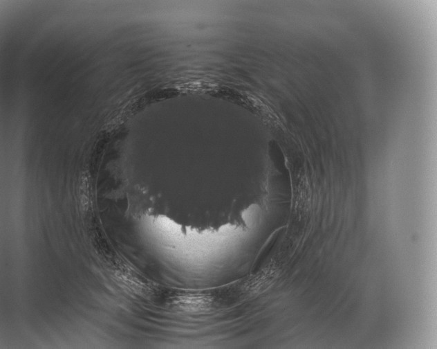 X0000071780659200607150056