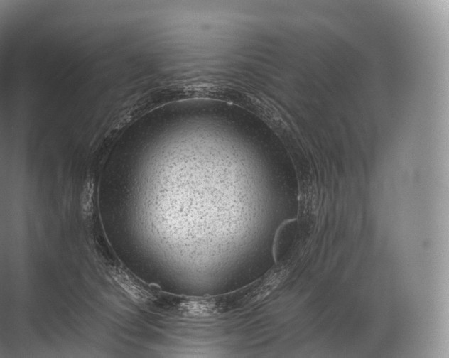 X0000071780660200607150056