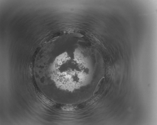 X0000071780661200607150056