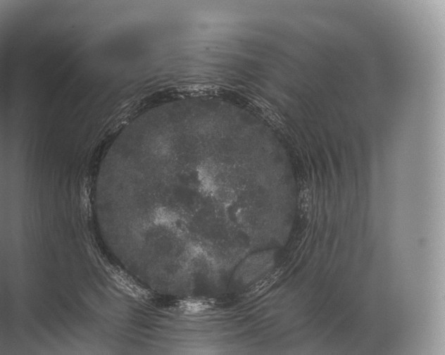 X0000071780662200607150056