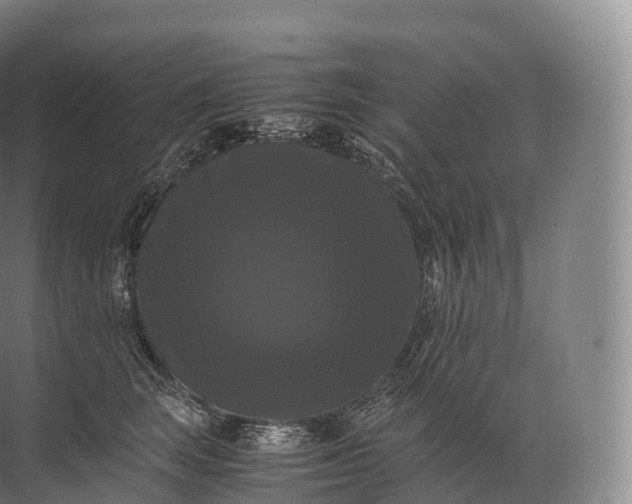 X0000071780663200607150056