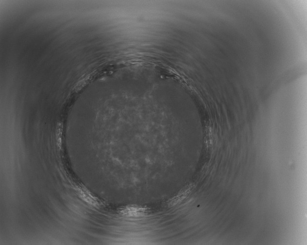 X0000071780664200607150056