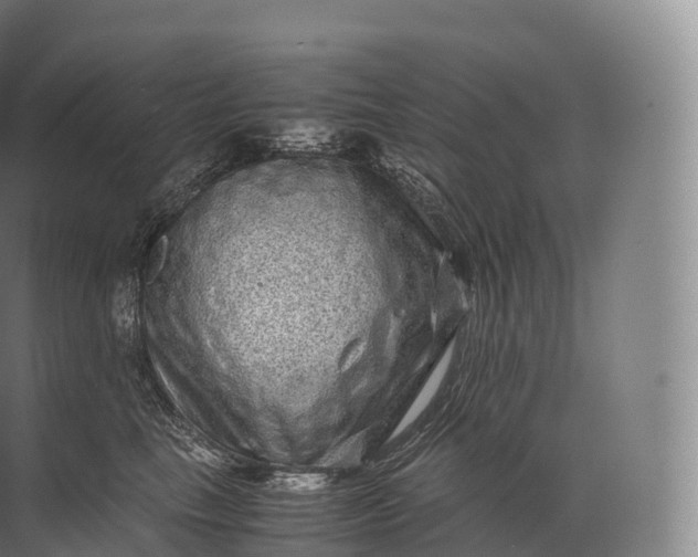 X0000071780665200607150056