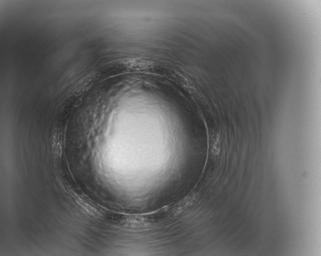 X0000071780666200607150056