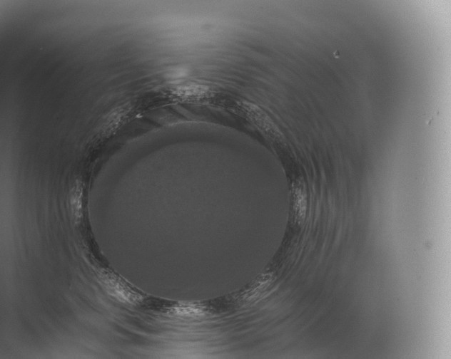 X0000071780668200607150056