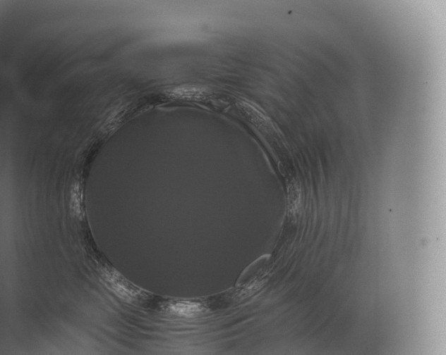 X0000071780669200607150056