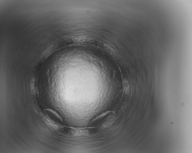 X0000071780670200607150056