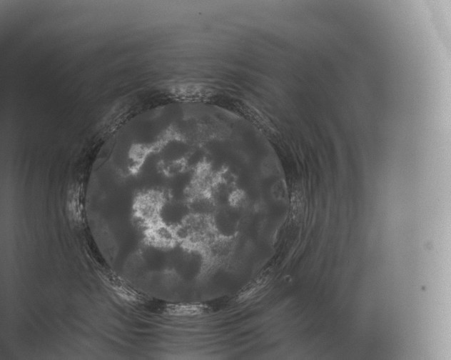 X0000071780671200607150056