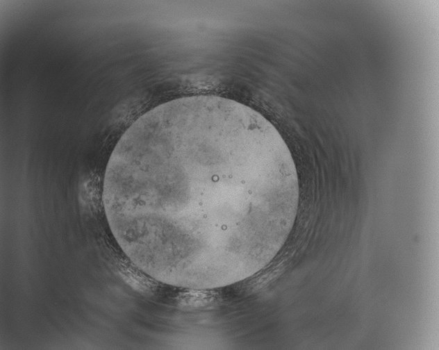 X0000071780672200607150056