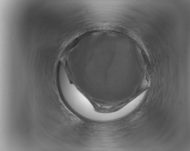 X0000071780673200607150055