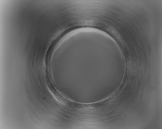 X0000071780674200607150055