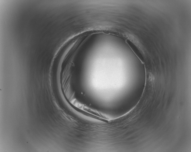 X0000071780676200607150055