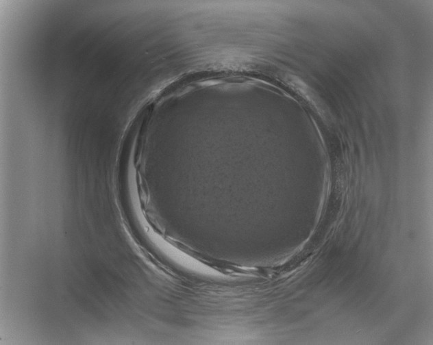 X0000071780677200607150055