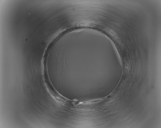 X0000071780678200607150055