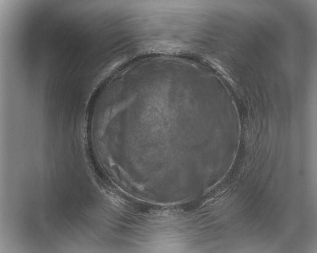 X0000071780679200607150055