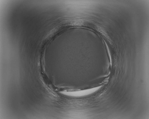 X0000071780681200607150055