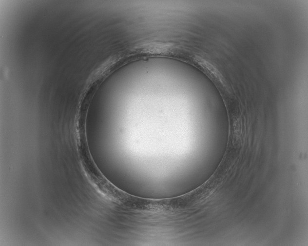 X0000071780682200607150055