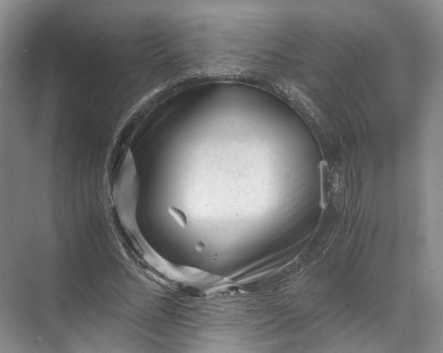 X0000071780684200607150055