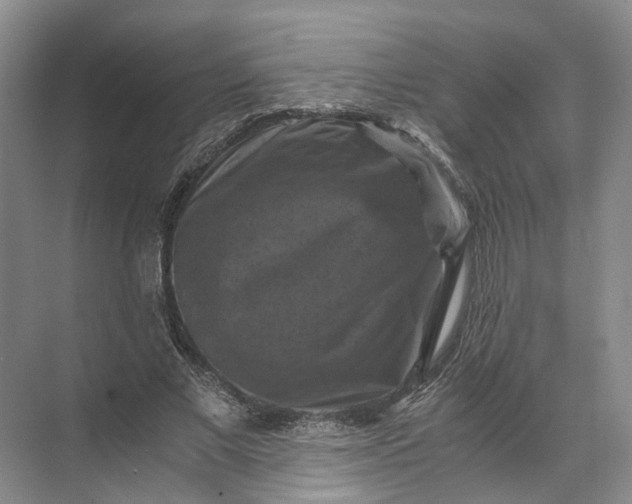 X0000071780685200607150055