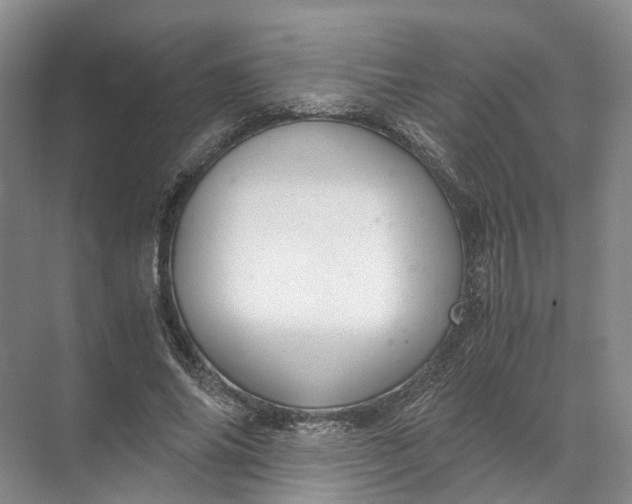 X0000071780686200607150055