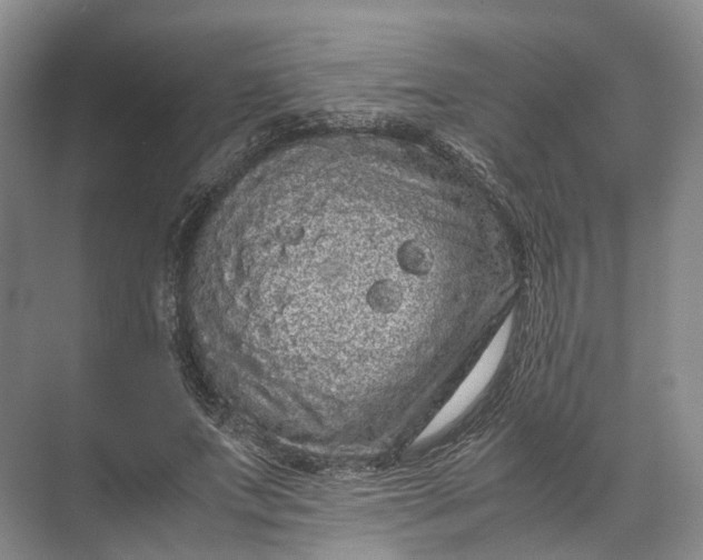 X0000071780687200607150055