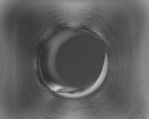 X0000071780689200607150055