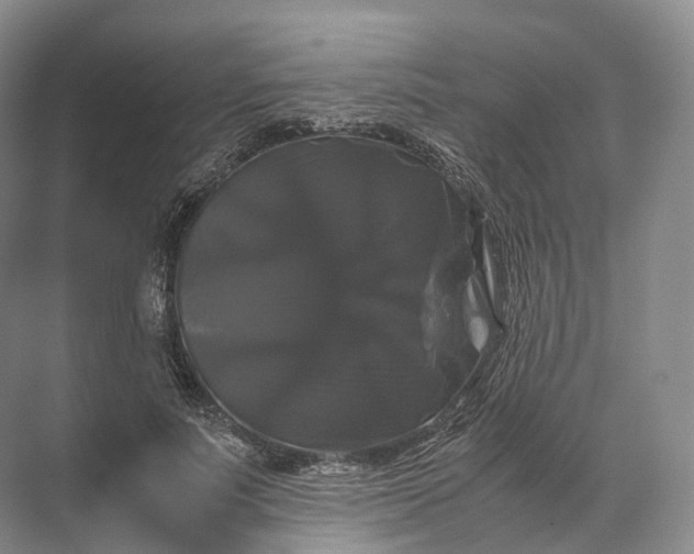 X0000071780691200607150055