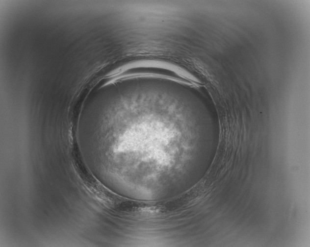 X0000071780692200607150055