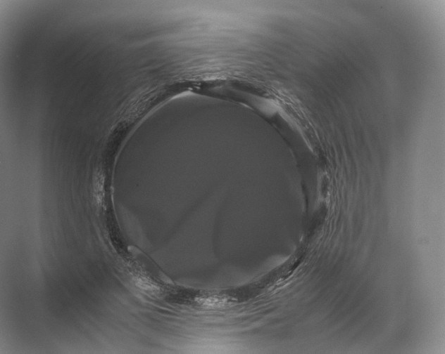 X0000071780693200607150055