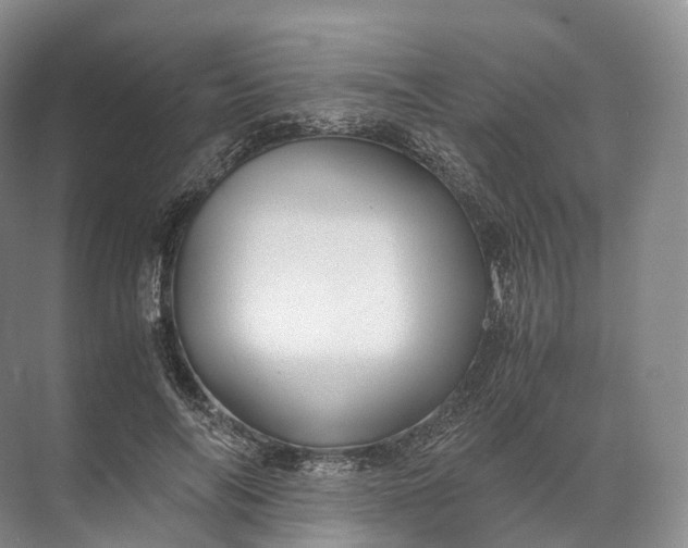 X0000071780694200607150055