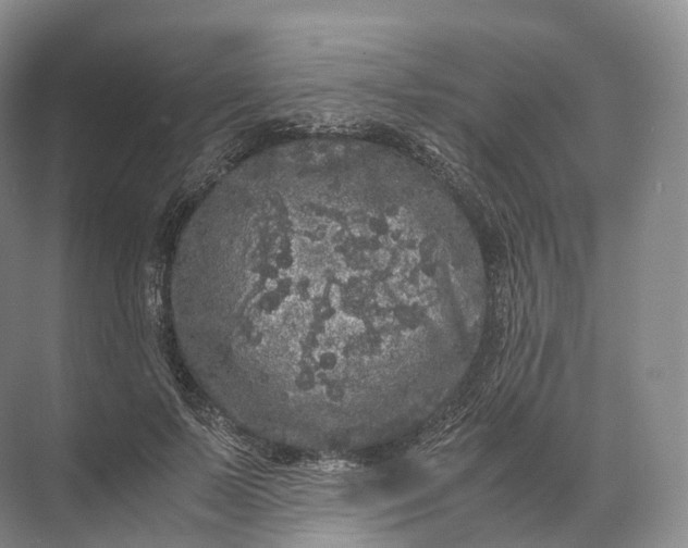 X0000071780695200607150055