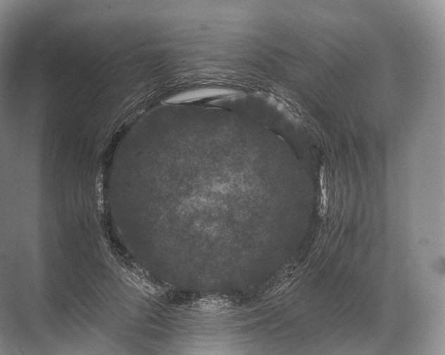 X0000071780696200607150055