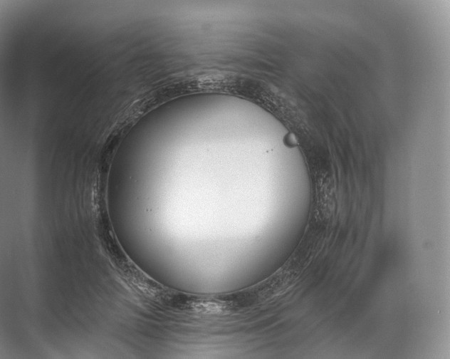 X0000071780698200607150055