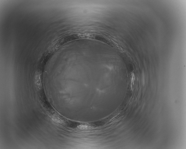 X0000071780699200607150055