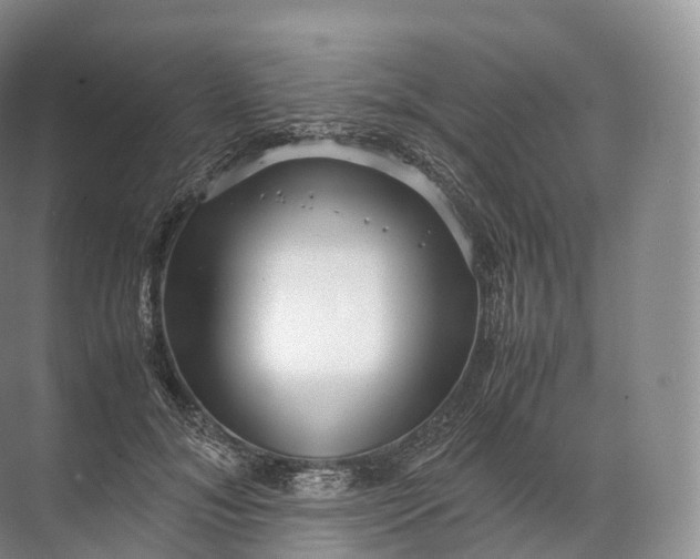 X0000071780700200607150055