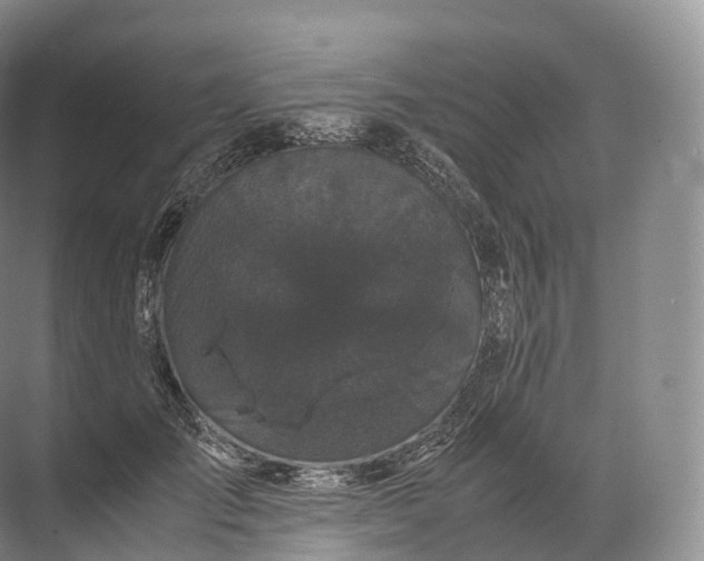 X0000071780701200607150055