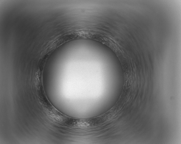 X0000071780702200607150055