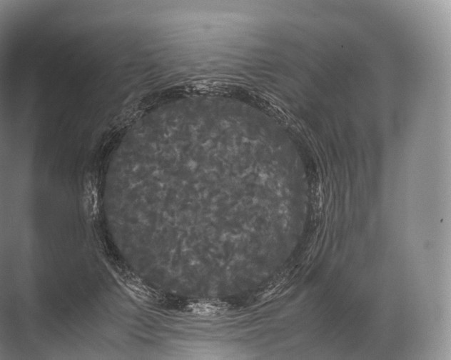 X0000071780703200607150055