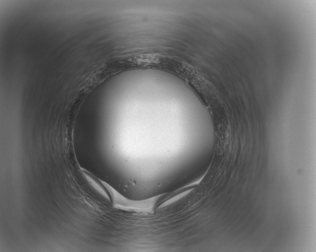 X0000071780704200607150055