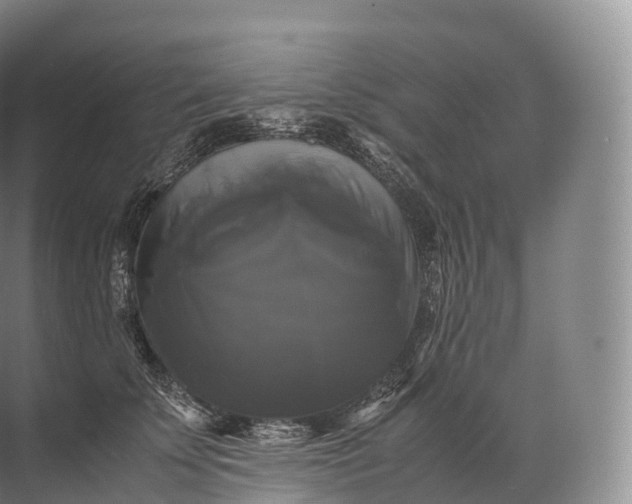 X0000071780707200607150055