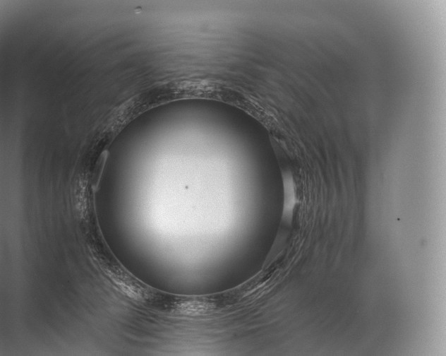 X0000071780708200607150055