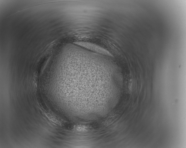 X0000071780710200607150055