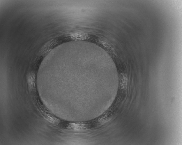 X0000071780713200607150055