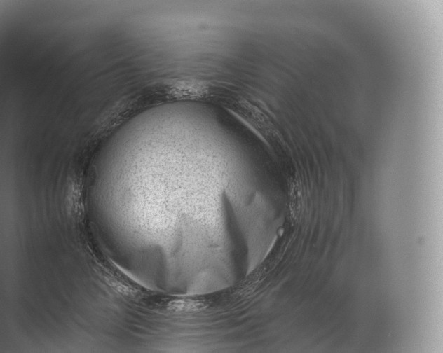 X0000071780714200607150055