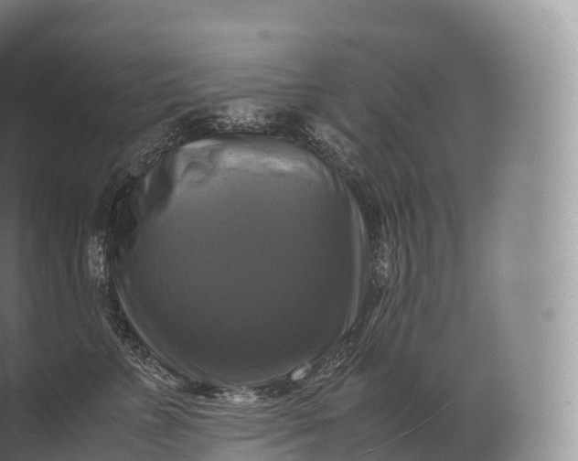 X0000071780715200607150055