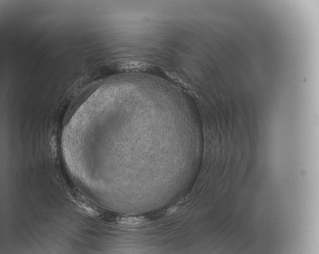 X0000071780716200607150055