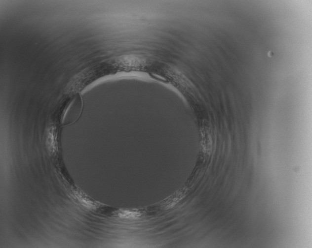 X0000071780718200607150055