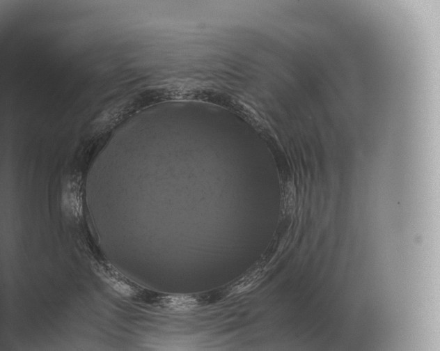 X0000071780719200607150055