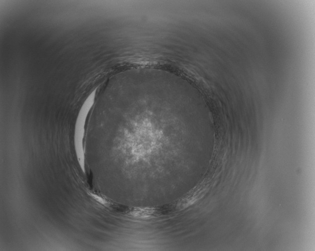 X0000071780720200607150055