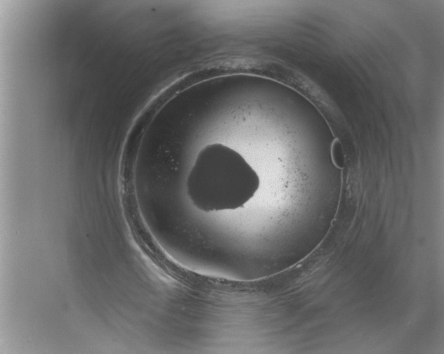 X0000071780722200607150054